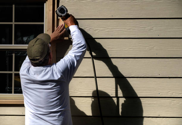 Best Custom Siding Design  in Sun Valley, NV