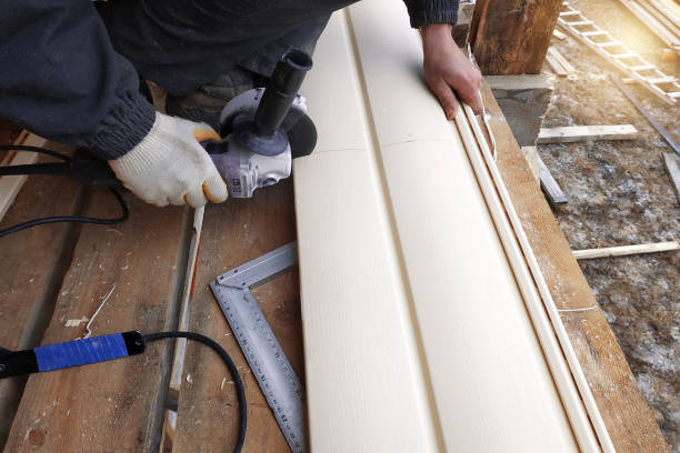 Best James Hardie Siding  in Sun Valley, NV