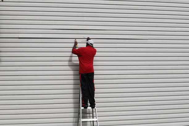 Best Siding Removal and Disposal  in Sun Valley, NV